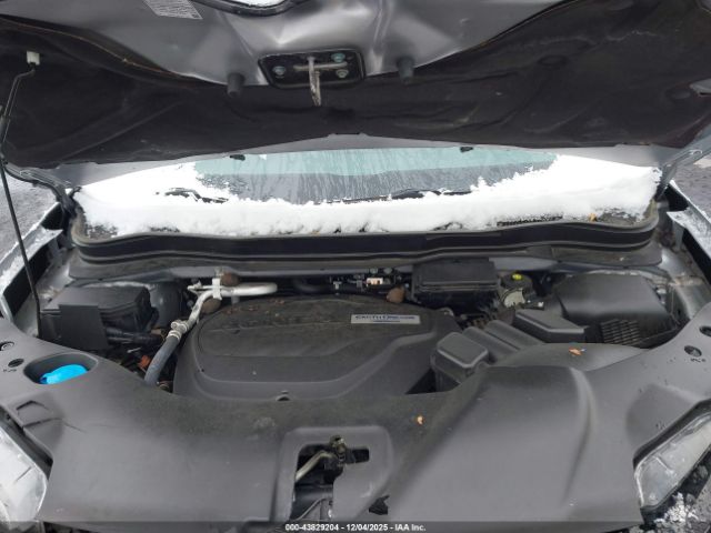 Honda Passport Touring Image 6