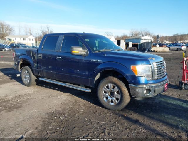 Ford F-150 Xlt Image 1