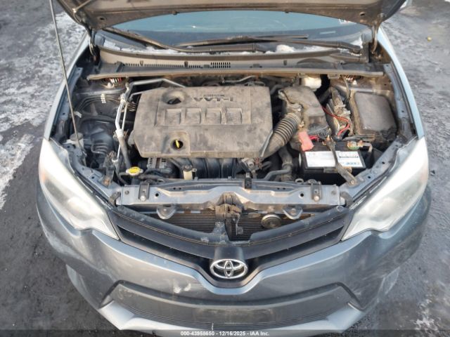Toyota Corolla Le Image 13