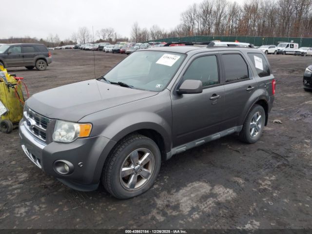 Ford Escape Limited Image 2