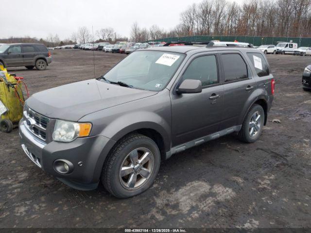 Ford Escape Limited Image 2