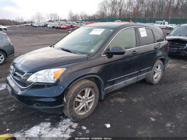 Honda CR-V Ex Image 5