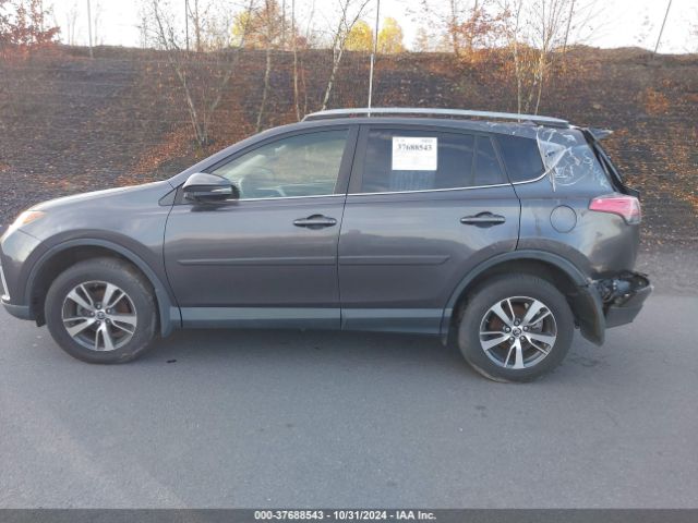 Toyota RAV4 Xle Image 3