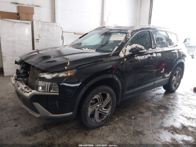 Hyundai SANTA FE Sel Image 3