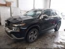 Hyundai SANTA FE Sel Image 3