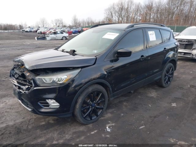 Ford Escape Se Image 5