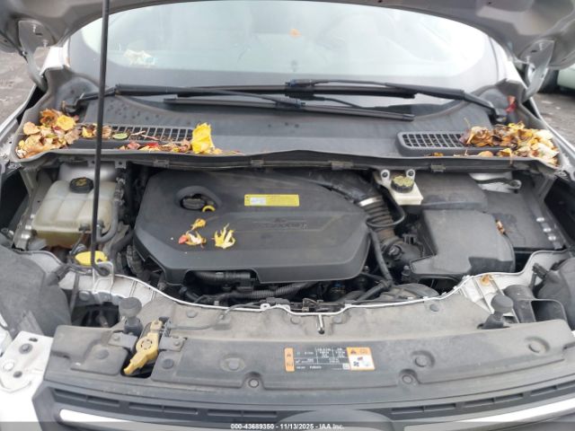 Ford Escape Se Image 9