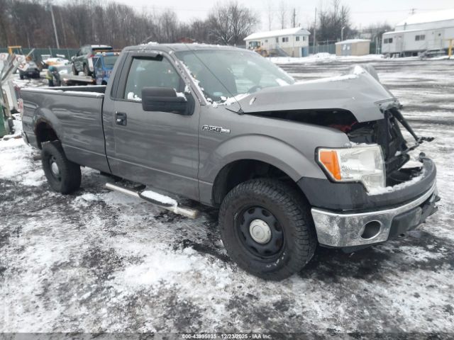 Ford F-150 Xl Image 1