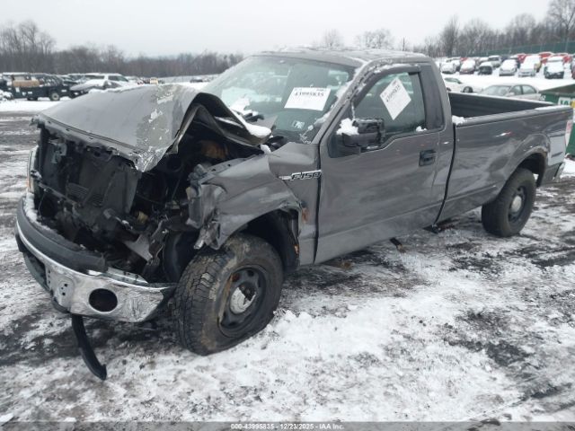 Ford F-150 Xl Image 2