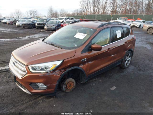 Ford Escape Se Image 5