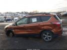 Ford Escape Se Image 10