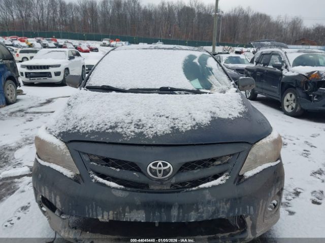 Toyota Corolla S Image 8