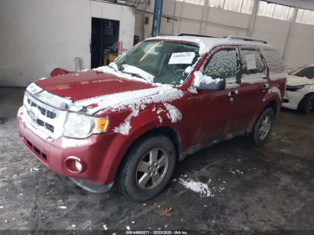 Ford Escape Xlt Image 3