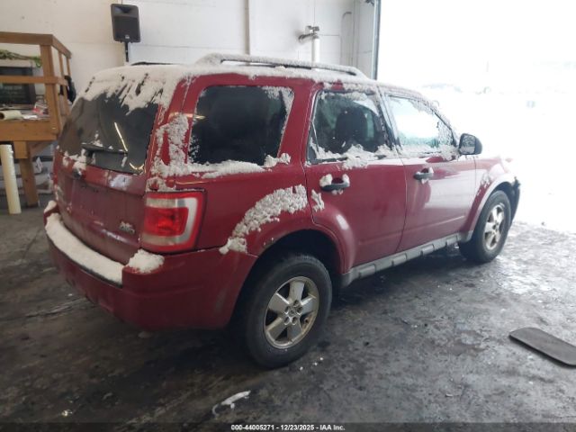 Ford Escape Xlt Image 8