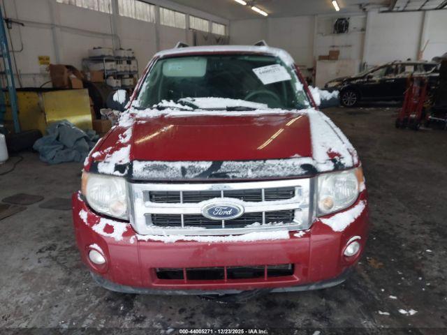 Ford Escape Xlt Image 6