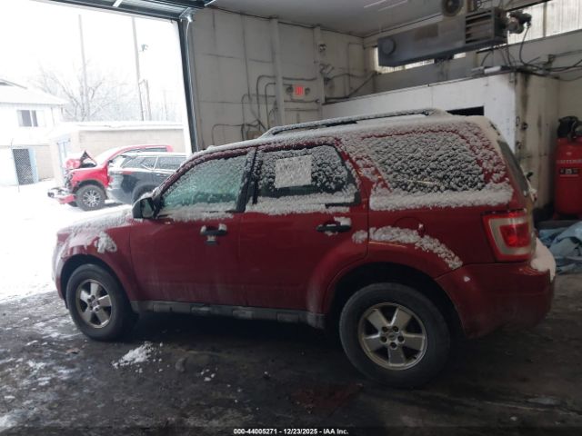 Ford Escape Xlt Image 12