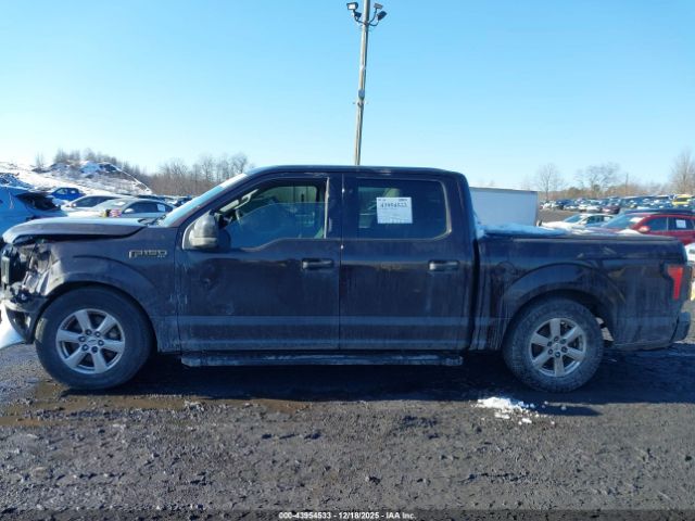 Ford F-150 Xlt Image 4
