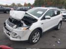 Ford Escape Titanium Image 7
