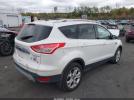 Ford Escape Titanium Image 2
