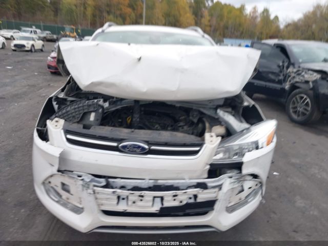 Ford Escape Titanium Image 8