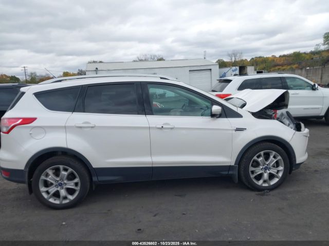 Ford Escape Titanium Image 11