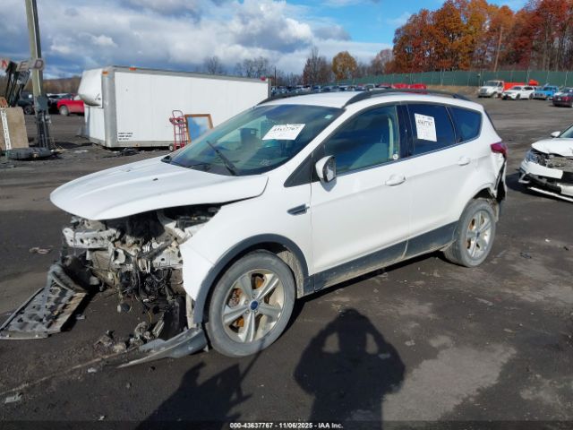 Ford Escape Se Image 4