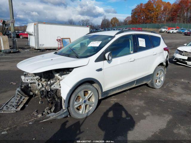 Ford Escape Se Image 4