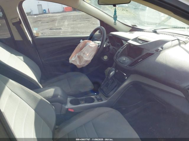 Ford Escape Se Image 6