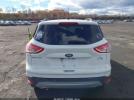 Ford Escape Se Image 13