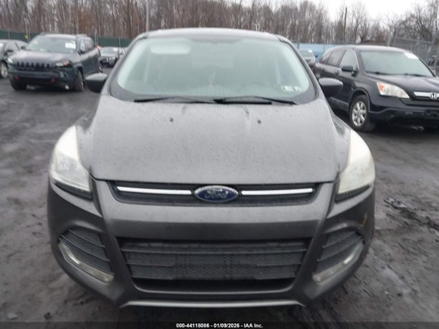 Ford Escape Se Image 6